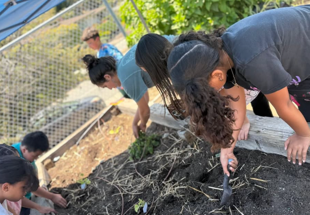 Pouring Into Purpose: Celebrating National Nonprofit Day