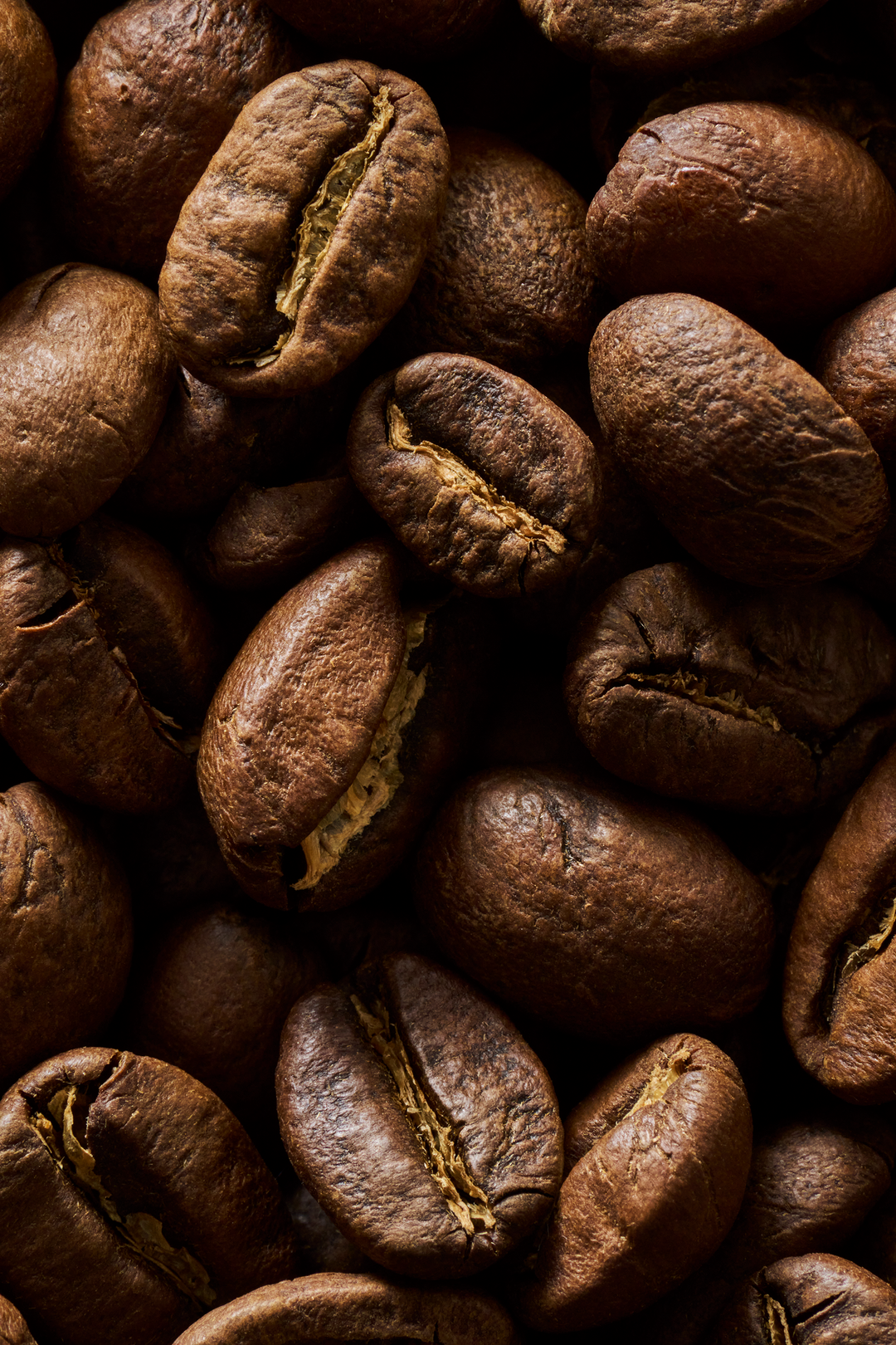 Rise & GRND - Medium Roast Blend